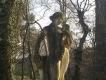 Statua